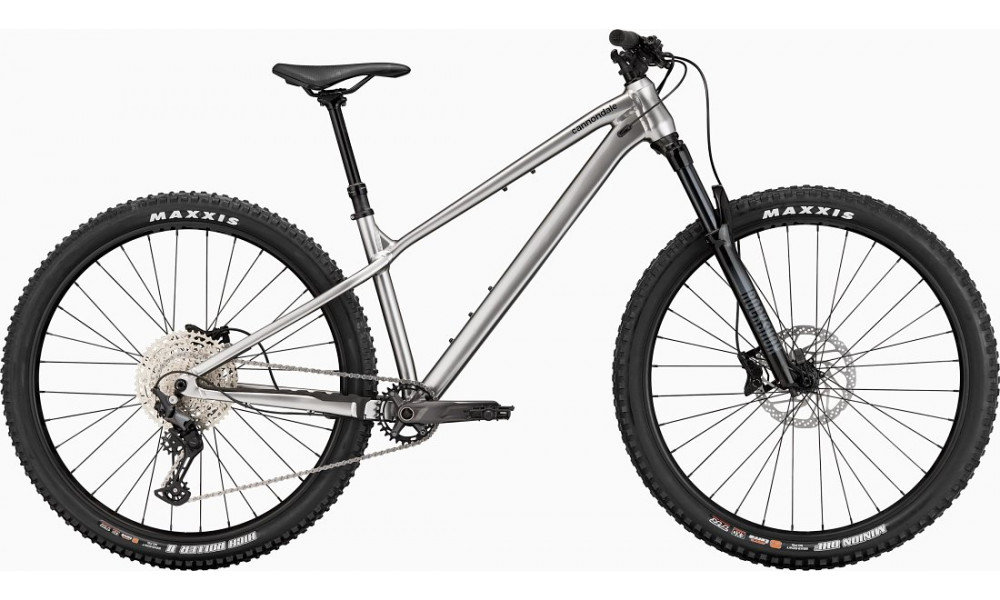 Dviratis Cannondale Habit 29" HT 1 mercury - 1