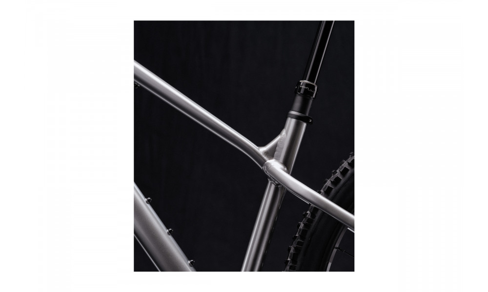 Dviratis Cannondale Habit 29" HT 1 mercury - 3