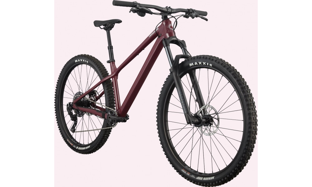 Dviratis Cannondale Habit 29" HT 2 black cherry - 6