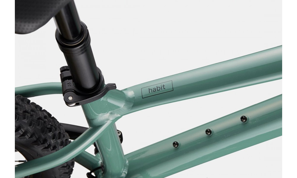 Dviratis Cannondale Habit 29" HT 3 jade - 2