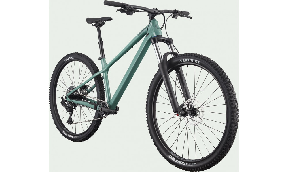 Dviratis Cannondale Habit 29" HT 3 jade - 7