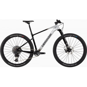 Dviratis Cannondale Scalpel 29" HT Carbon 1 mercury