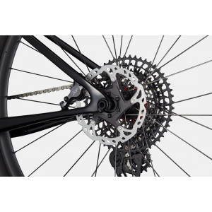 Dviratis Cannondale Scalpel 29" HT Carbon 1 mercury