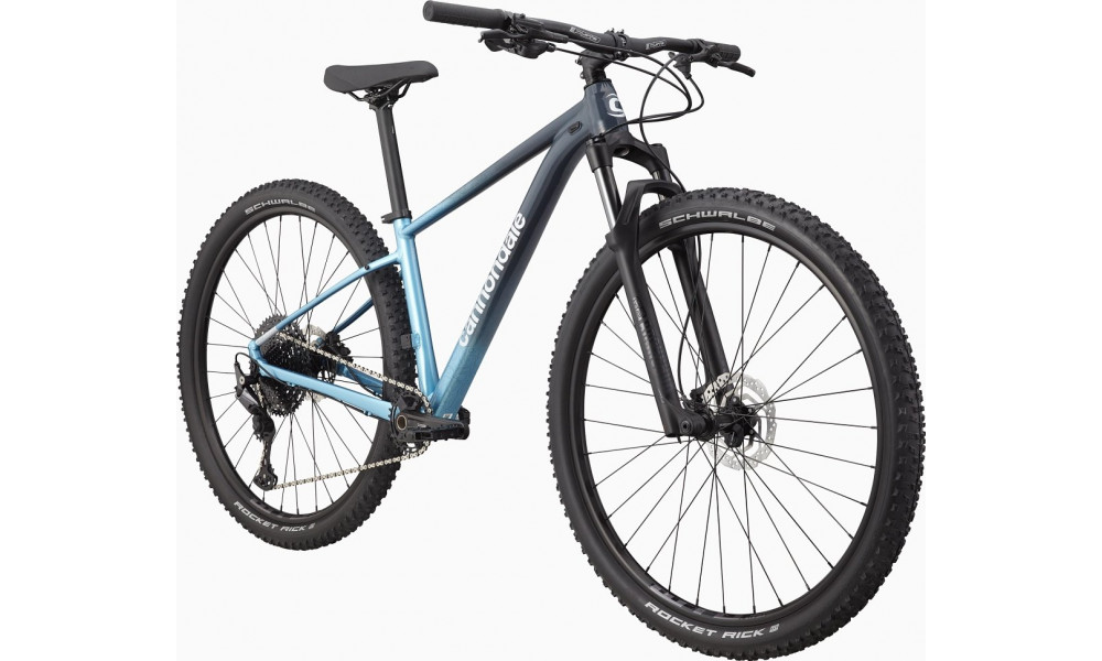 Dviratis Cannondale Trail 29" SL 3 Womens slate gray-alpine blue - 7