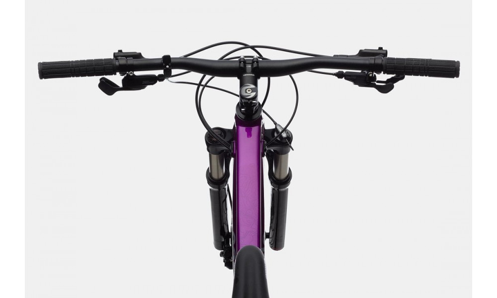 Dviratis Cannondale Trail 29" SL 4 Womens purple - 6