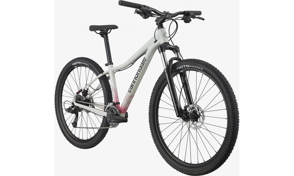 Dviratis Cannondale Trail 29" 7 Womens chalk - 6