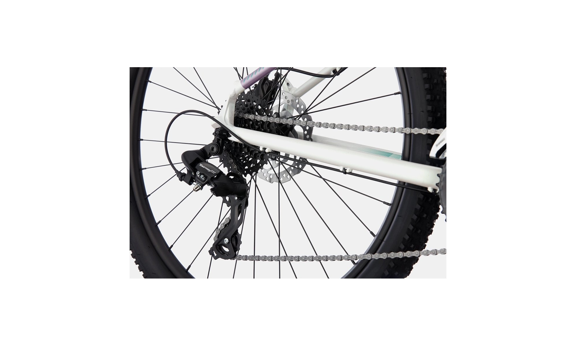 Dviratis Cannondale Trail 29" 7 Womens iridescent - 4