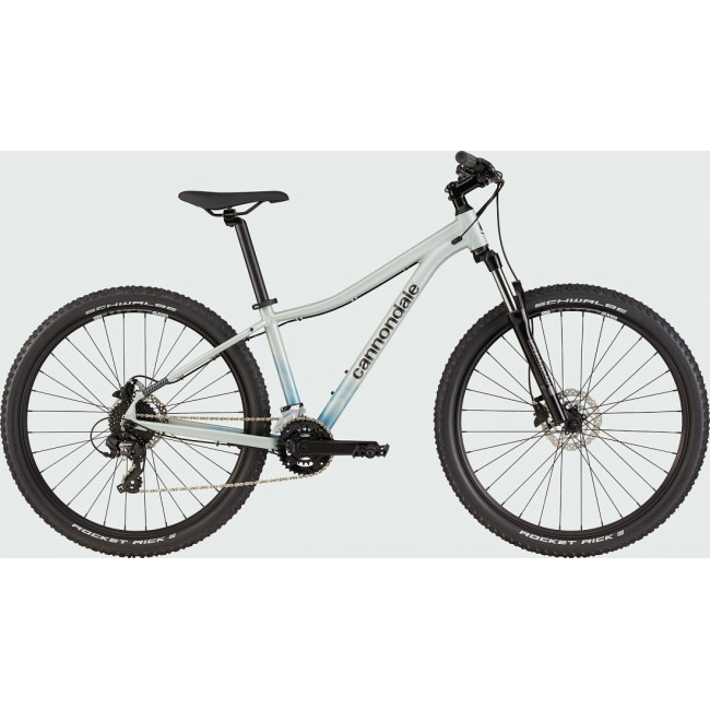 Dviratis Cannondale Trail 29" 8 Womens sage gray