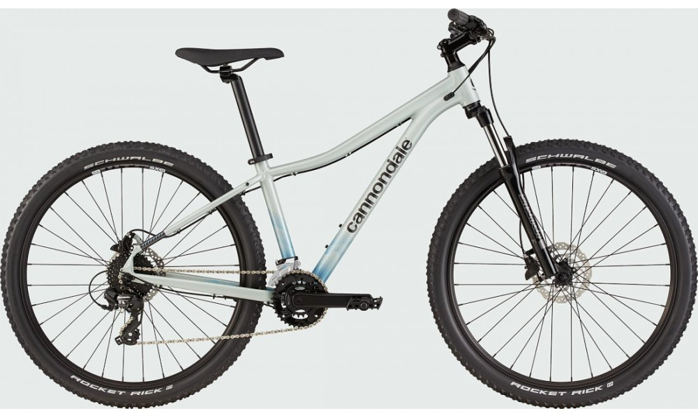 Dviratis Cannondale Trail 29" 8 Womens sage gray - 1