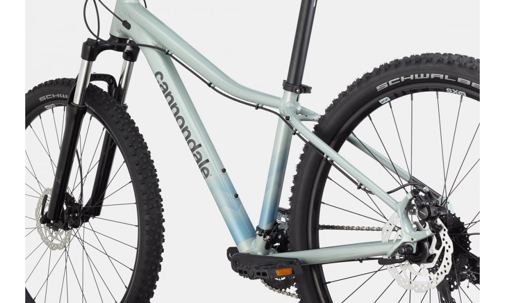 Dviratis Cannondale Trail 29" 8 Womens sage gray - 3