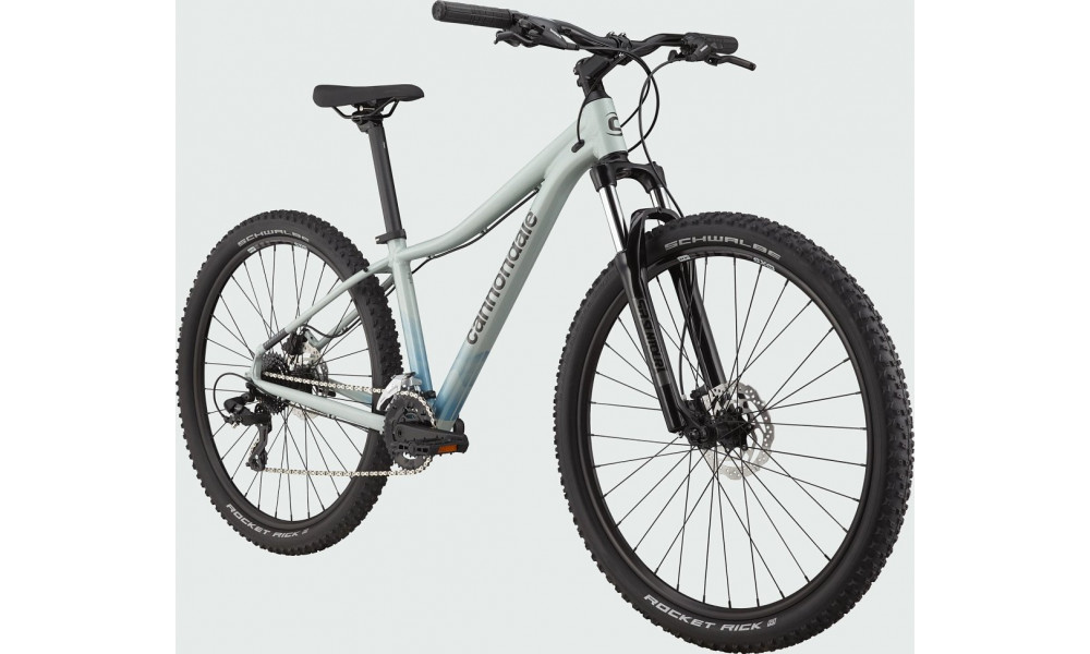 Dviratis Cannondale Trail 29" 8 Womens sage gray - 7