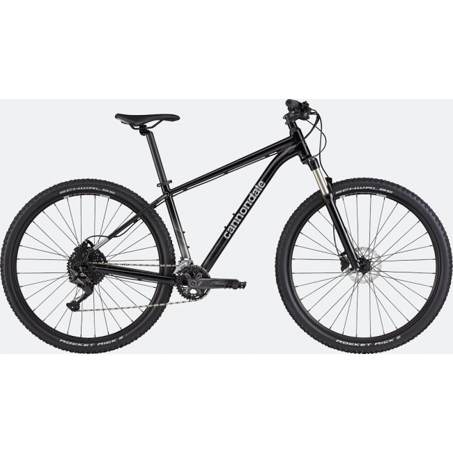 Dviratis Cannondale Trail 29" 5 graphite