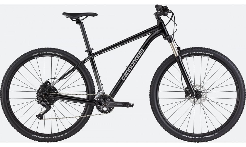 Dviratis Cannondale Trail 29" 5 graphite - 1