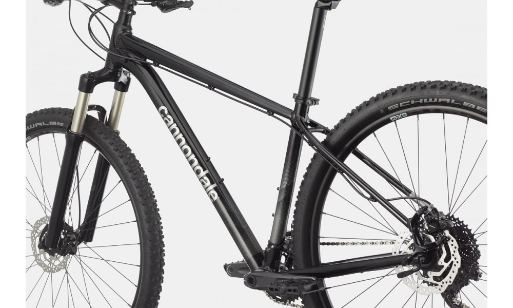 Dviratis Cannondale Trail 29" 5 graphite - 3