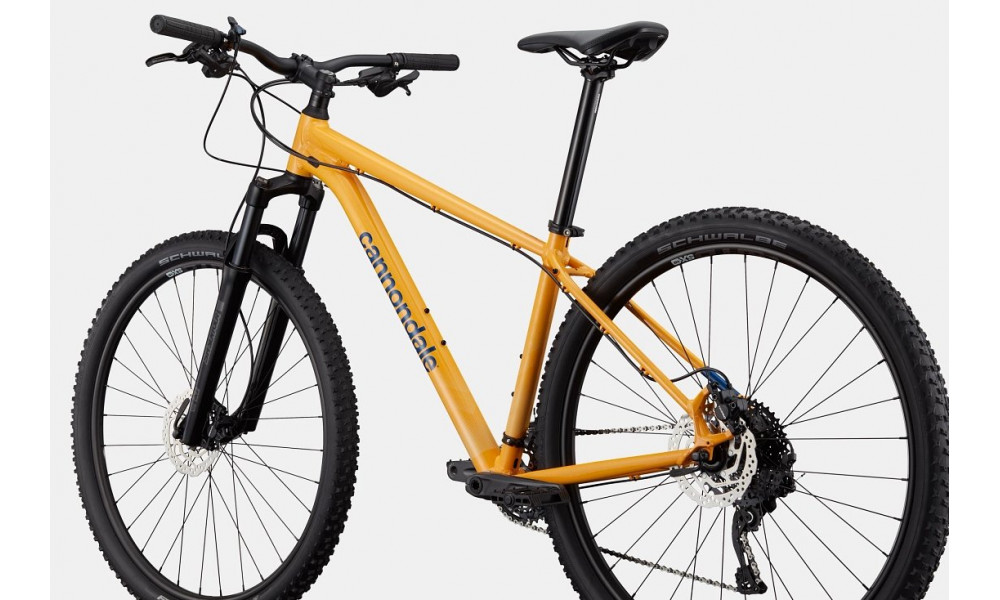 Dviratis Cannondale Trail 29" 5 mango - 3