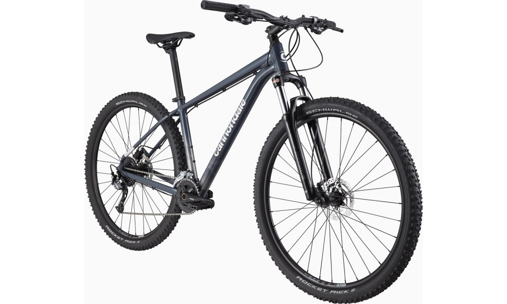 Dviratis Cannondale Trail 29" 6 slate gray-alpine blue - 7