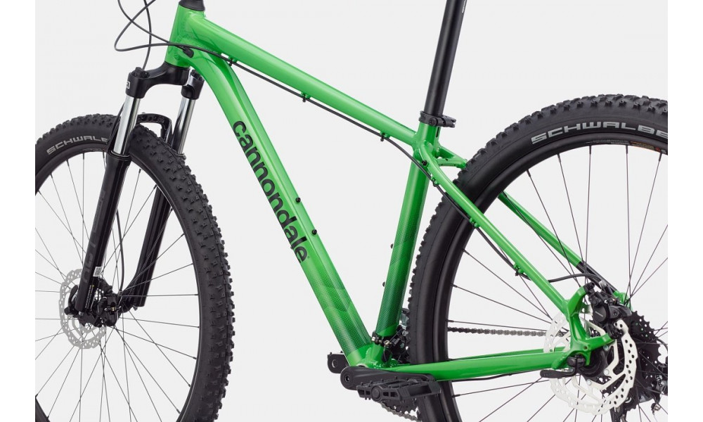 Dviratis Cannondale Trail 29" 7 green - 3