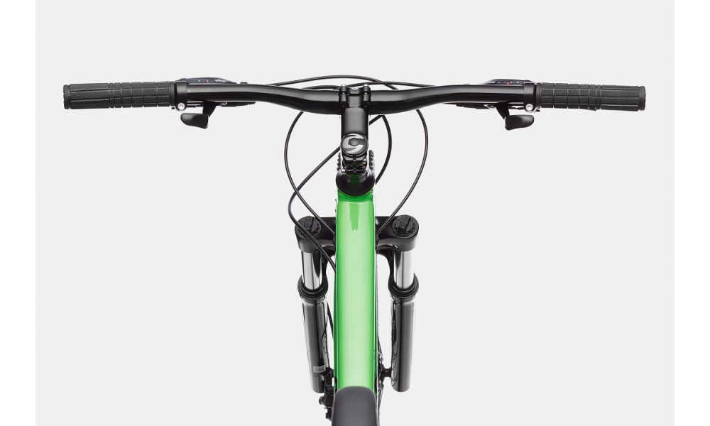 Dviratis Cannondale Trail 29" 7 green - 6