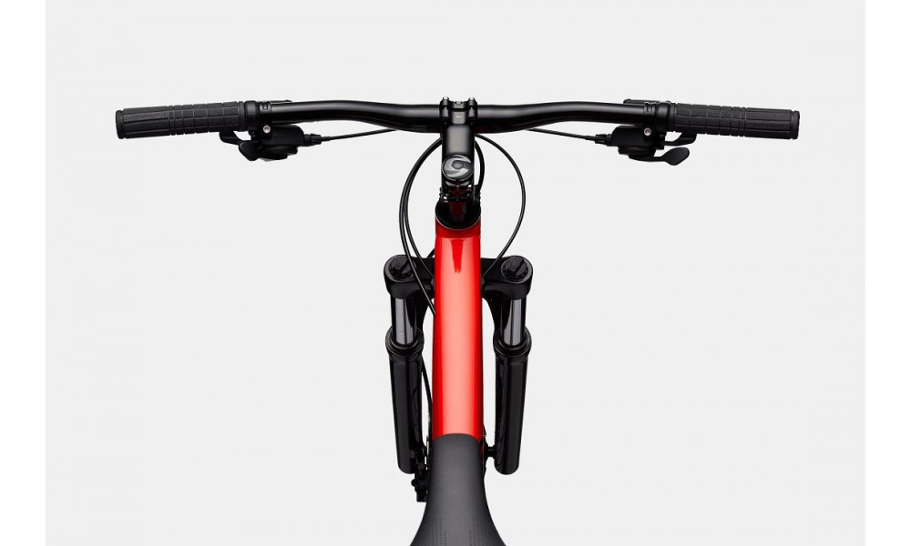 Dviratis Cannondale Trail 29" 7 rally red - 5