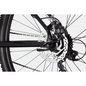Dviratis Cannondale Trail 27.5" 8 charcoal gray