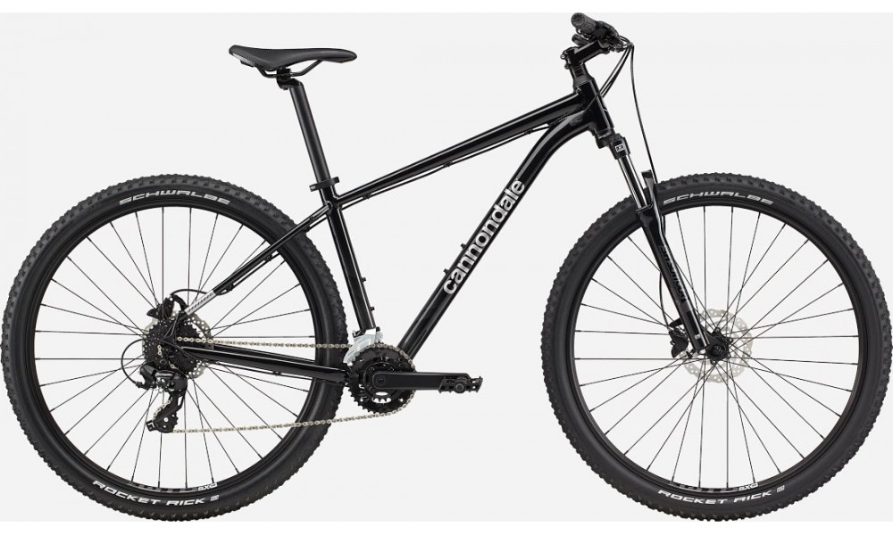 Dviratis Cannondale Trail 29" 8 charcoal gray - 1