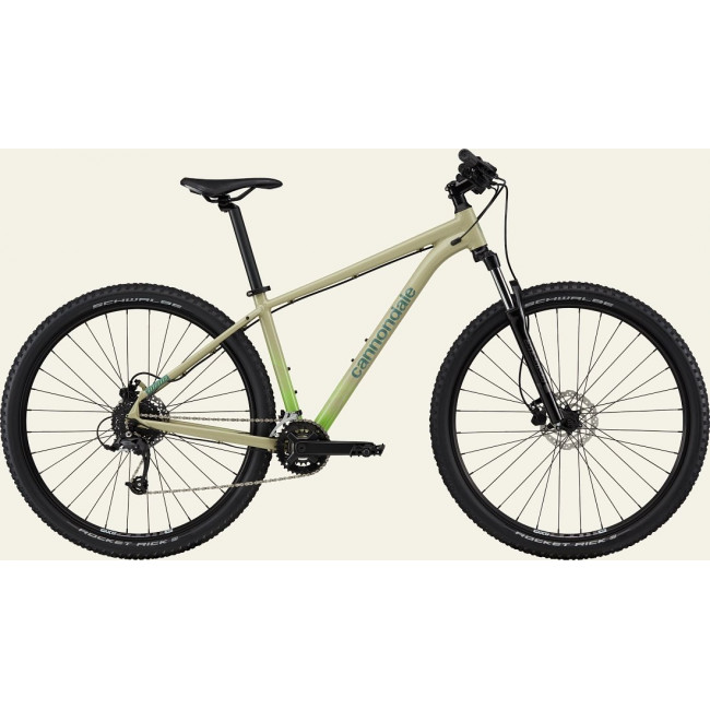 Dviratis Cannondale Trail 29" 8 quicksand