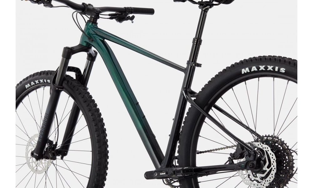 Dviratis Cannondale Trail 29" SE 2 emerald - 3