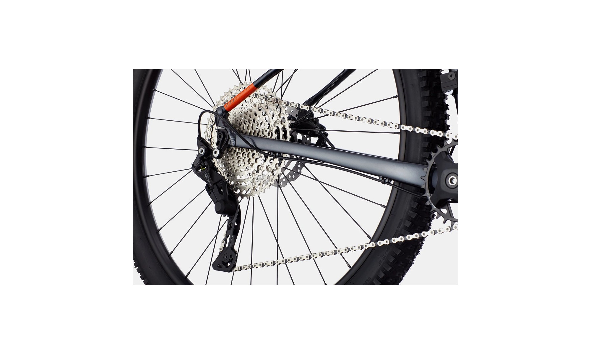 Dviratis Cannondale Trail 29" SE 3 impact orange - 4