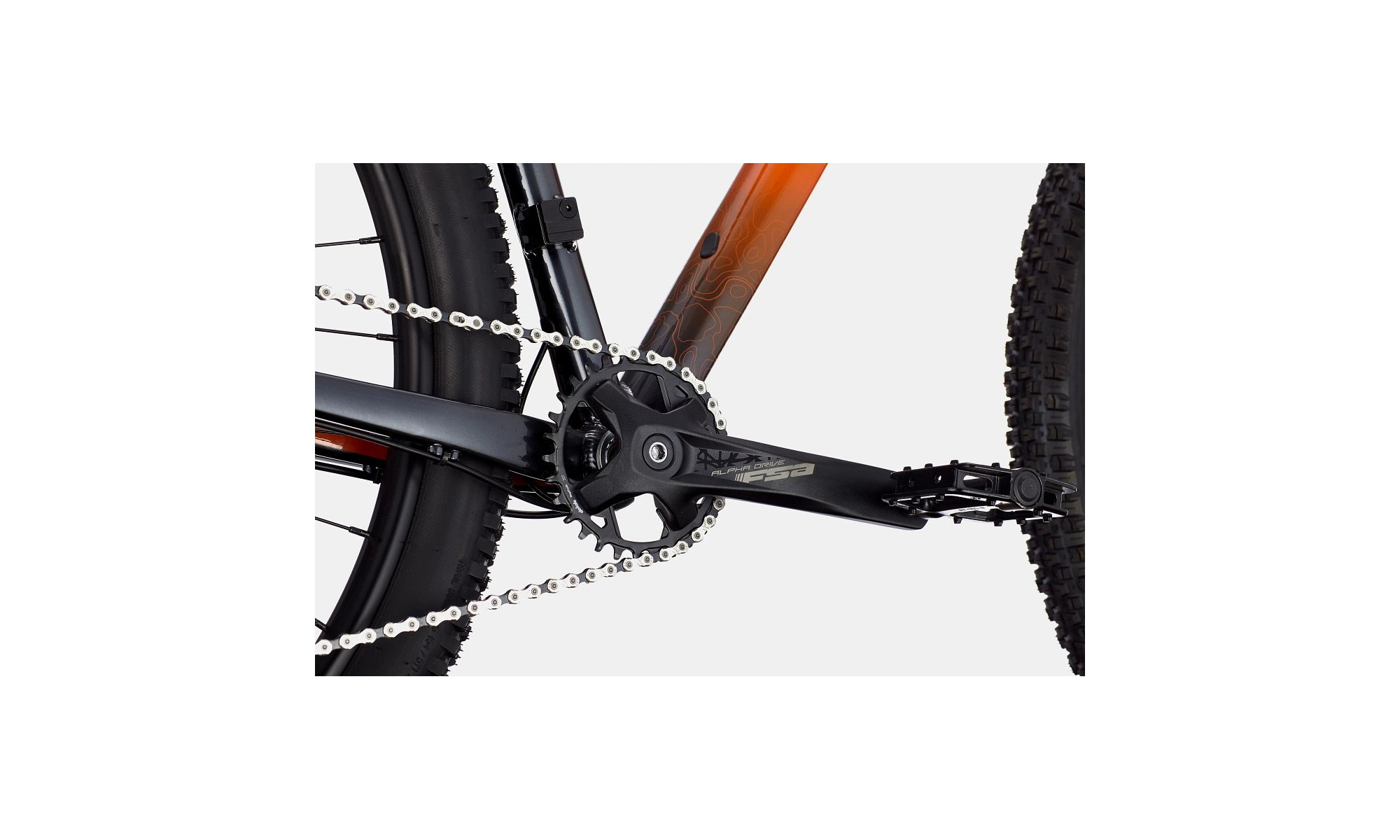 Dviratis Cannondale Trail 29" SE 3 impact orange - 5