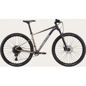 Dviratis Cannondale Trail 29" SL 1 stealth grey