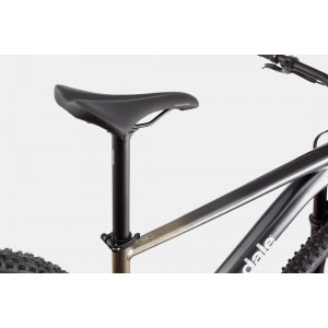 Dviratis Cannondale Trail 29" SL 1 stealth grey