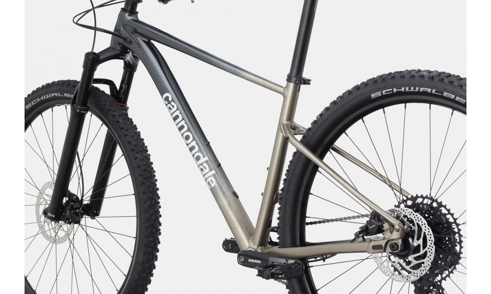 Dviratis Cannondale Trail 29" SL 1 stealth grey - 3