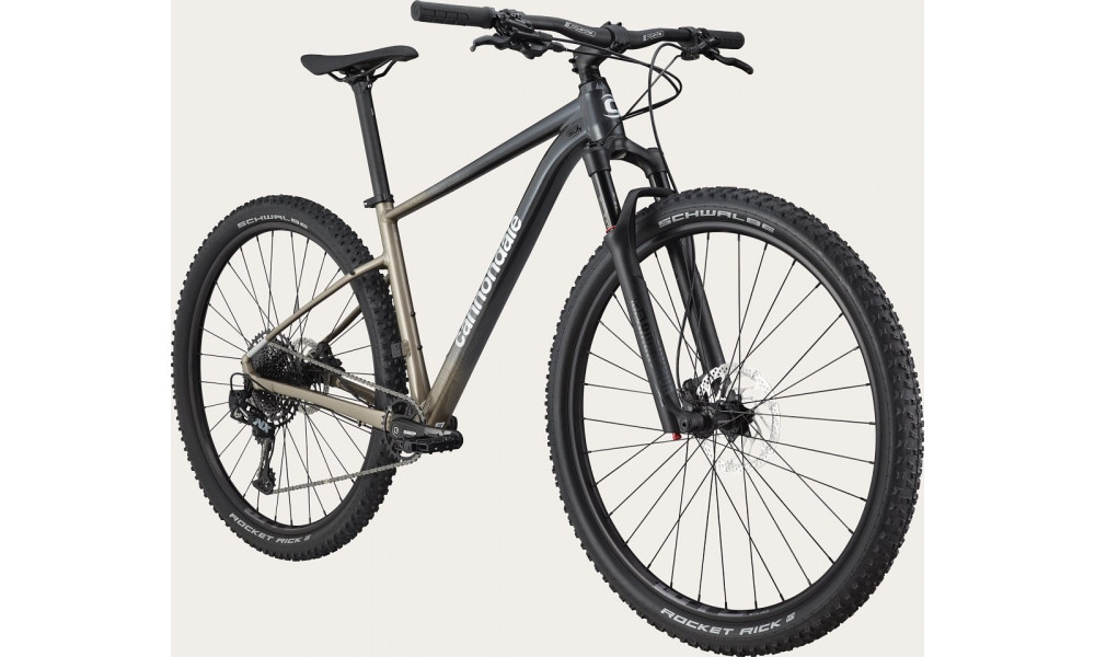 Dviratis Cannondale Trail 29" SL 1 stealth grey - 7