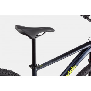 Dviratis Cannondale Trail 29" SL 2 midnight blue