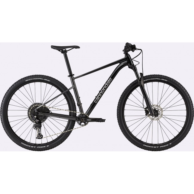 Dviratis Cannondale Trail 29" SL 3 black pearl