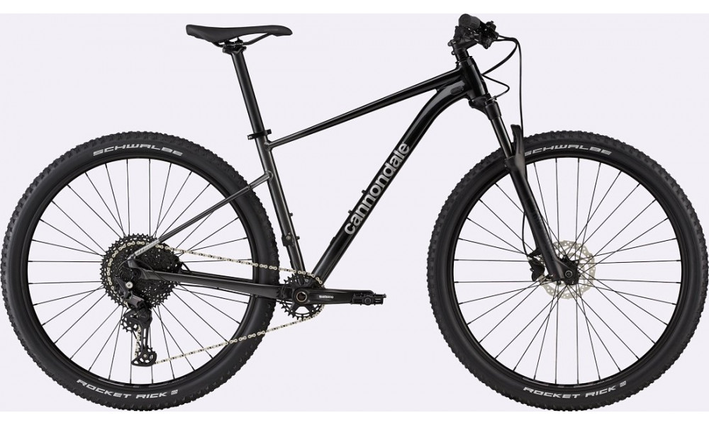 Dviratis Cannondale Trail 29" SL 3 black pearl - 1