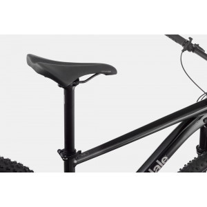 Dviratis Cannondale Trail 29" SL 3 black pearl