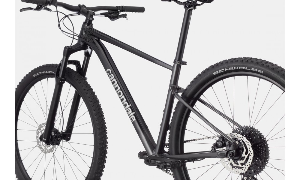 Dviratis Cannondale Trail 29" SL 3 black pearl - 3