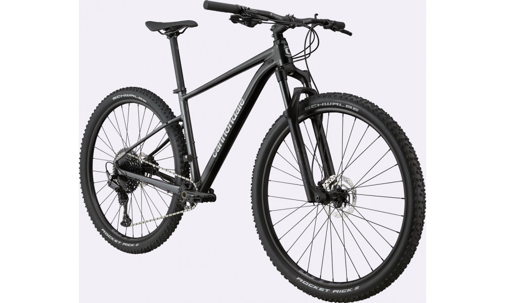 Dviratis Cannondale Trail 29" SL 3 black pearl - 7