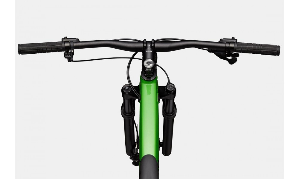 Dviratis Cannondale Trail 29" SL 3 green - 5