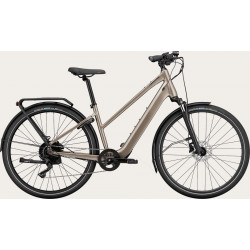 Elektrinis dviratis Cannondale Mavaro Neo SL 1 Remixte meteor gray