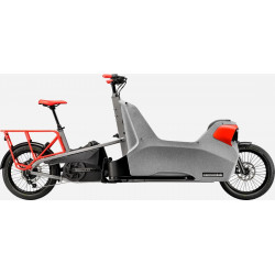 Elektrinis dviratis Cannondale Wonderwagen Neo 1 charcoal gray