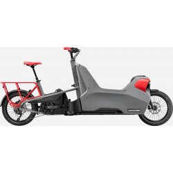 Elektrinis dviratis Cannondale Wonderwagen Neo 2 charcoal gray