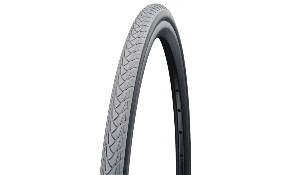 Padanga 22" Schwalbe Marathon Plus HS440, Evo 25-489 / 22x1.00 Reflex 