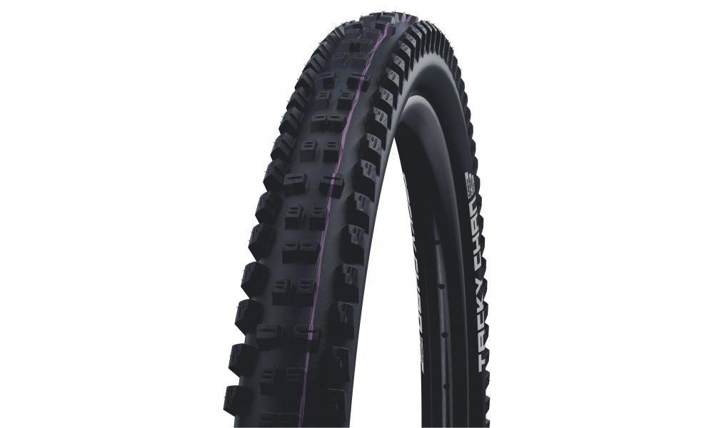 Padanga 29" Schwalbe Tacky Chan HS625, Evo Fold. TLE 62-622 / 29x2.40 Super Downhill - 1