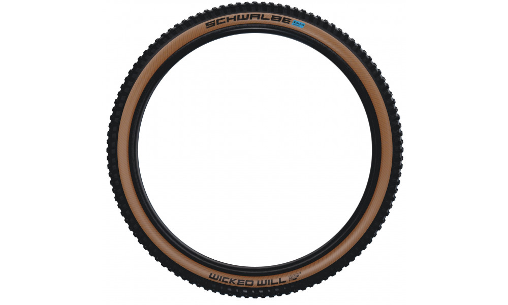 Padanga 29" Schwalbe Wicked Will HS614, Evo Fold. TLE 57-622 / 29x2.25 Super Race Transparent Skin - 2