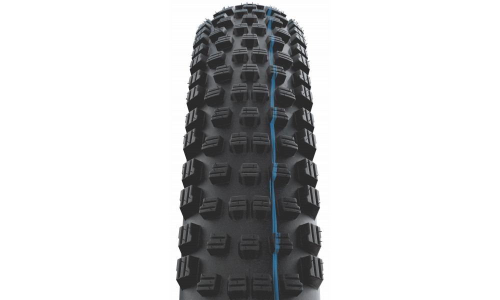 Padanga 29" Schwalbe Wicked Will HS614, Evo Fold. TLE 57-622 / 29x2.25 Super Race Transparent Skin - 3