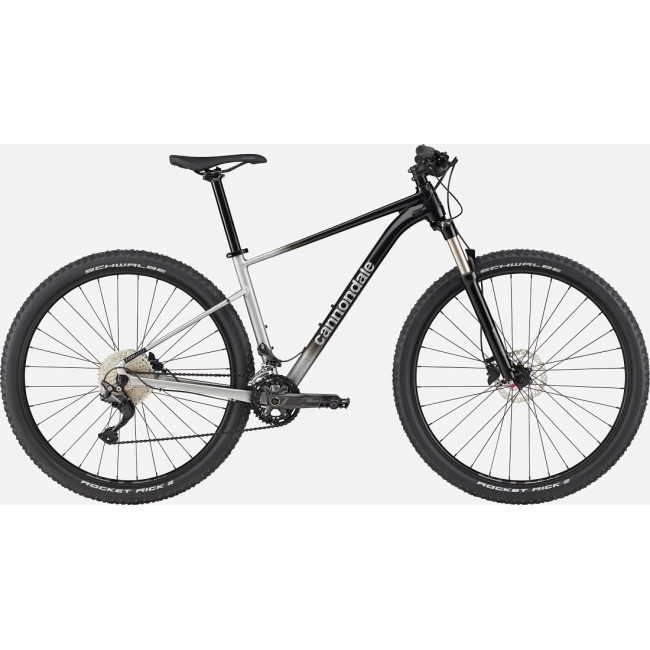 Dviratis Cannondale Trail 29" SL 4 charcoal gray