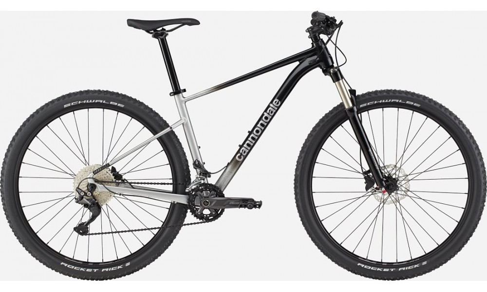 Dviratis Cannondale Trail 29" SL 4 charcoal gray - 1