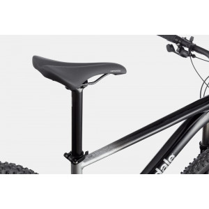 Dviratis Cannondale Trail 29" SL 4 charcoal gray